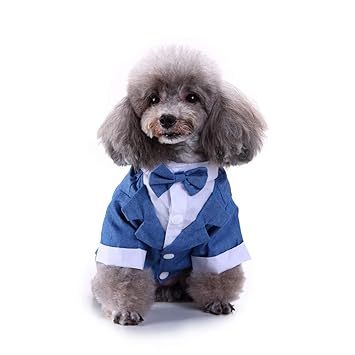 GabeFish Pets Blue Jackets Suit for Dogs with Blue Bow Tie Puppy Cat Formal Clothes Shirt Tuxedo Blue Small