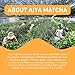 Aiya Matcha+ Awake™ - Lime Flavored Matcha Energy Drink Mix - 140mg Caffeine per Packet - Premium Japanese Matcha Green Tea Powder - On-the-Go Energy Boost - 8 Sticks