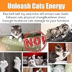21 Pcs Cat Toys for Indoor Cats Collapsible Cat Tunnel Interactive Feather Teaser Wand Ball Toy for Kitten Cats - Image 7