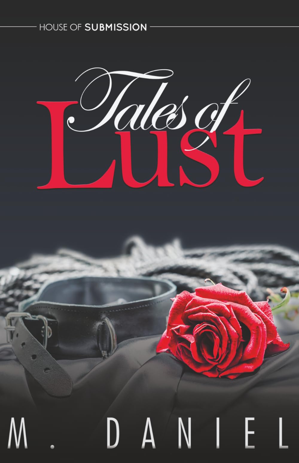 Tales of Lust: A Collection of Erotic Vignettes