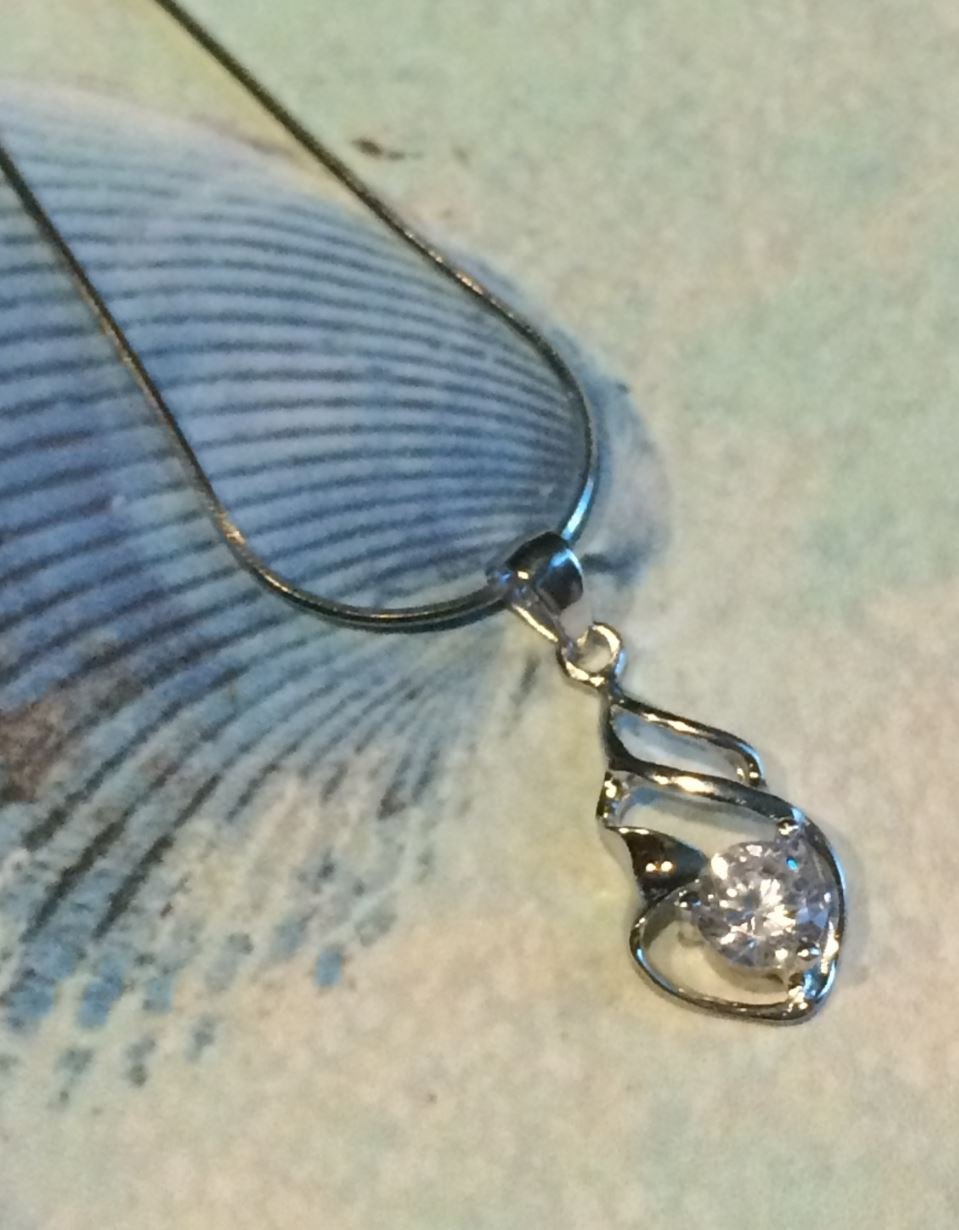 Smiling Wisdom Seashell Find Your Passion Shell Greeting Card Set