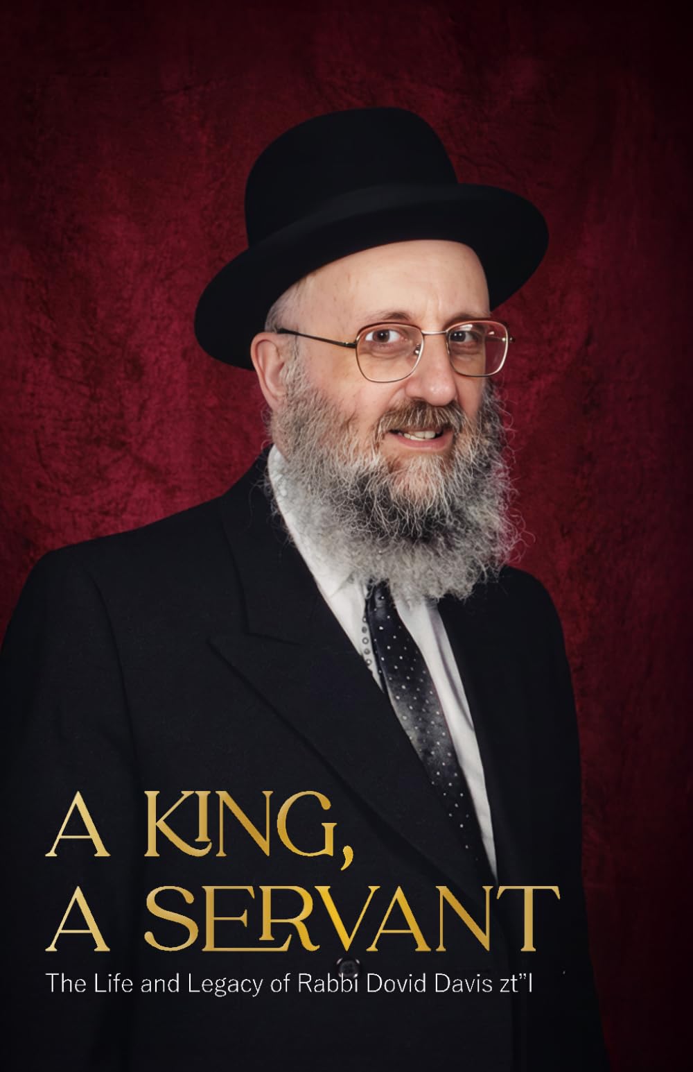 A King, A Servant: The Life and Legacy of Rabbi Dovid Davis zt"l