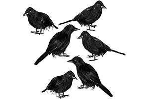JOYIN Raven Halloween Decor: 6 Black Crows for Indoor/Outdoor Halloween Decoration