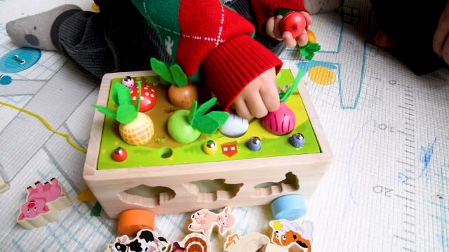 Jouet Bébé 1-3 Ans 8 En 1 Voiture Animaux Montessori En Bois - Éducatif, Pêche, Formes, Couleurs & Motricité