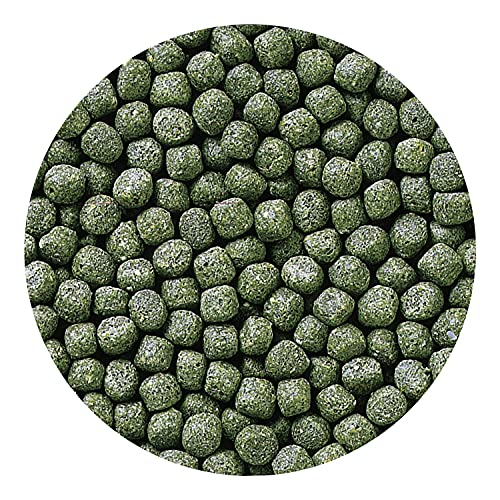 Hikari 03328 8.8-Ounce Cichlid Staple Floating Pellets for Pets, Medium - Image 5