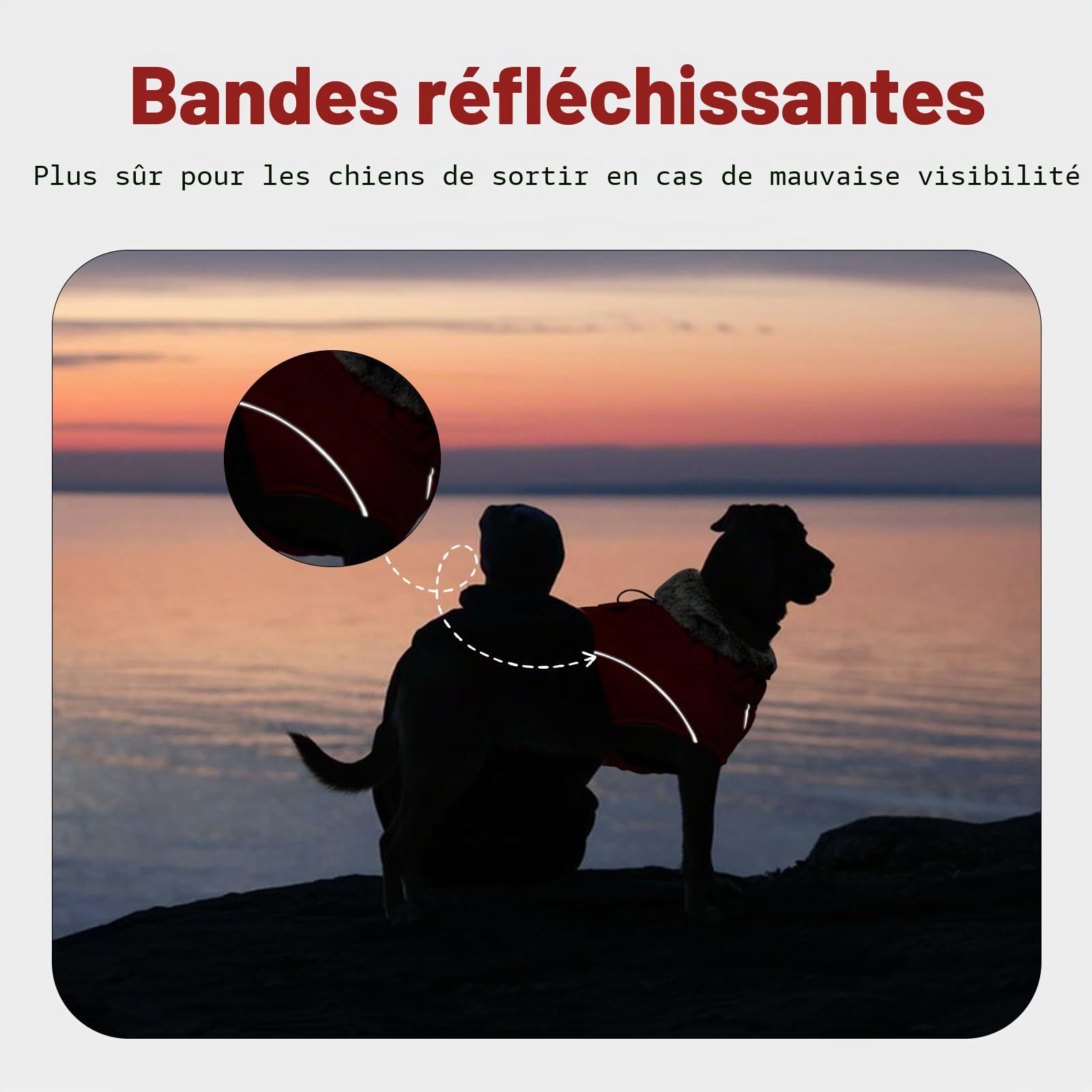 Manteau Polaire Chien, Doudoune Chien Manteau Petite Chien Réfléchissant Peluche avec Col en Fourrure Veste d'hiver Vêtement Confortable pour Petits Moyens Grands Chiens(Rouge, XL)