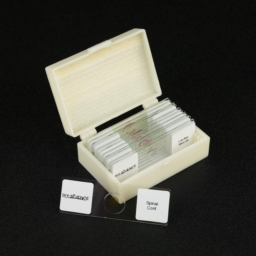 Snapklik.com : Prepared Vertebrate Histology Identification Microscope ...