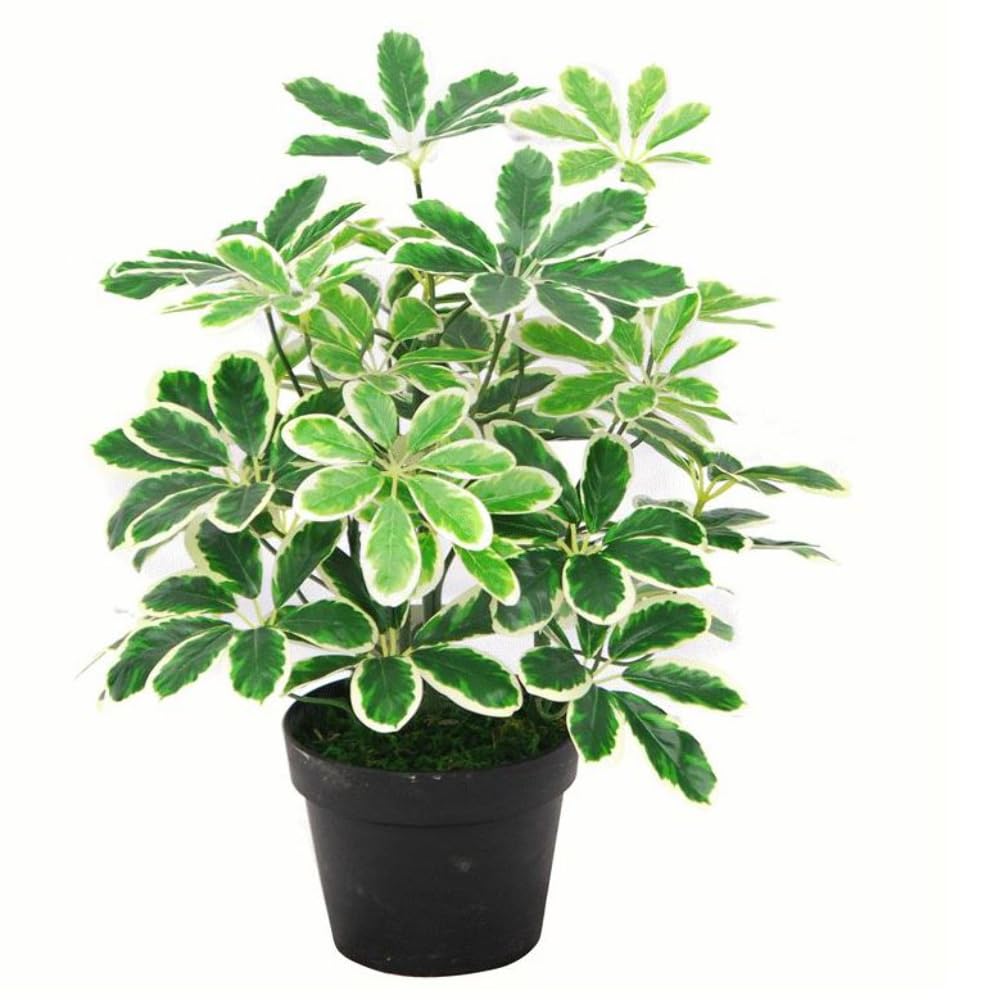 Leaf Artificial Arboricola Evergreen Plant,75cm, Green