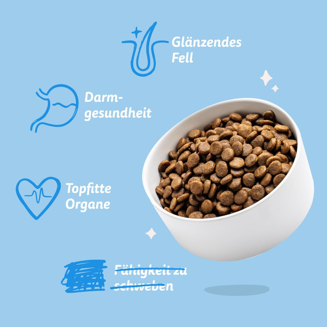 Edgard & Cooper Crochette Cani Adulti Medium 1kg Salmone Fresco Ipoallergenico Zucca Cavolo Riccio Patata Dolce
