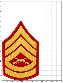 Épuisette golden mean gunner net pro