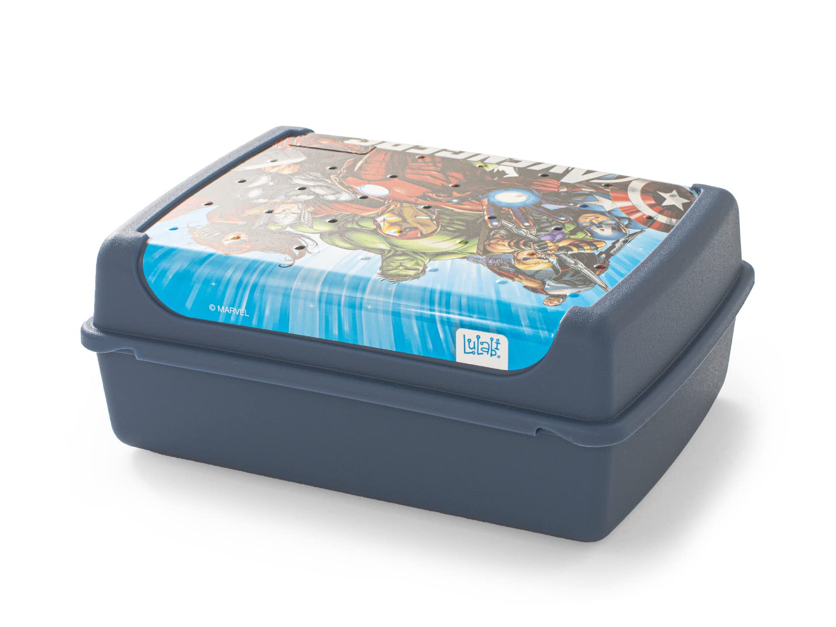 Home Avengers Evergreen Lunchbox Für Kinder – BPA-frei, 17 X 13 Cm, Praktische Snackdose Für Schule & Unterwegs