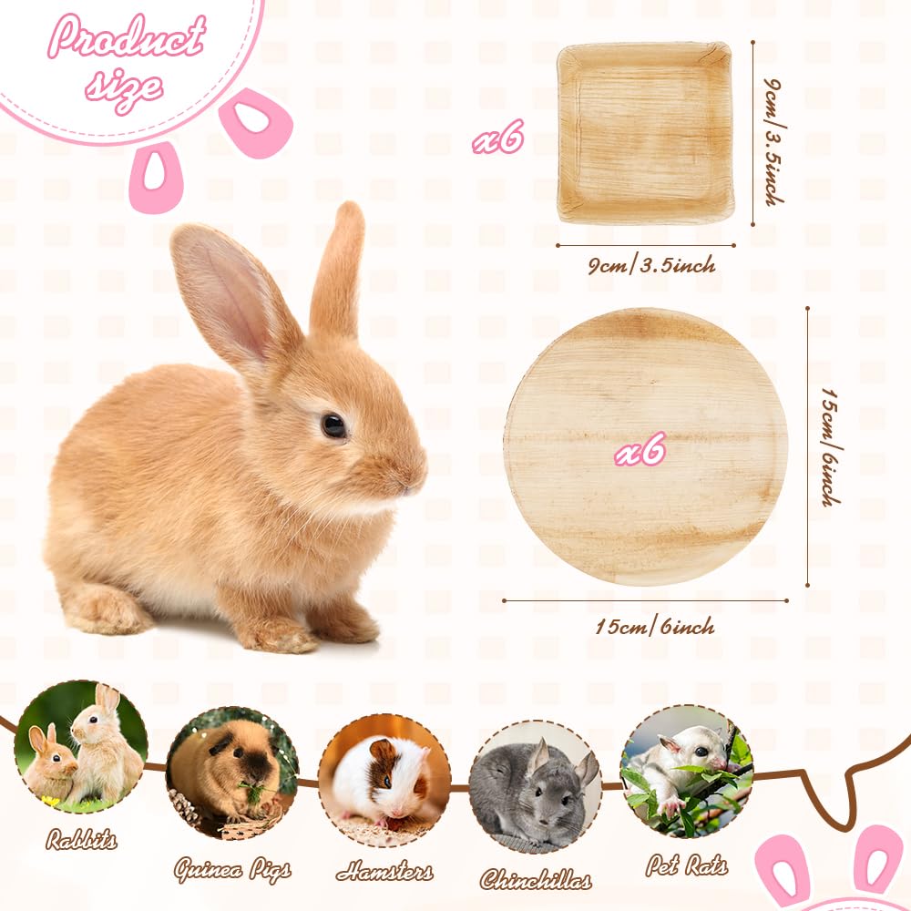 FIDWALL 6-Piece Palm Leaf Bowls for Bunnies,3.5" and 6" Sizes,Natural Rabbit Chew Toys,Best Rabbit Toys Boredom Breaker,Boredom Breakers (3.5 inches*6) - Image 3