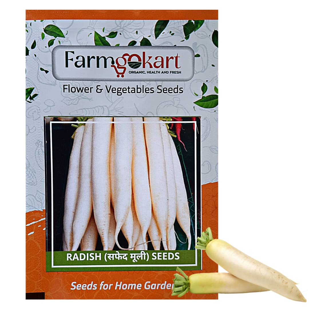 FARMGO 10 Gms - RADISH SEEDS, Vegetable Seeds for Home Gardening, Farming, Hydroponics and Poly Houses
