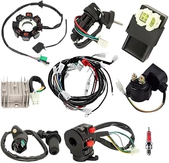 Motorcycle Stator Coil Ignition Wiring Harness Kit with CDI Stator Regulator Ignition Switch Solenoid Relay for GY6 125Cc 150Cc 4-Stroke Parts