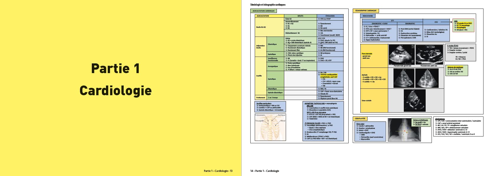Objectif EDN : L'Atout EDN: Le programme R2C en 600 fiches visuelles colorées
