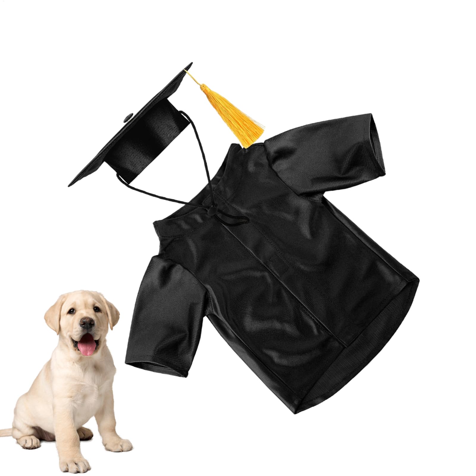 Disfraz de graduación para perros ideal para sesiones de fotos de cachorros y gatos