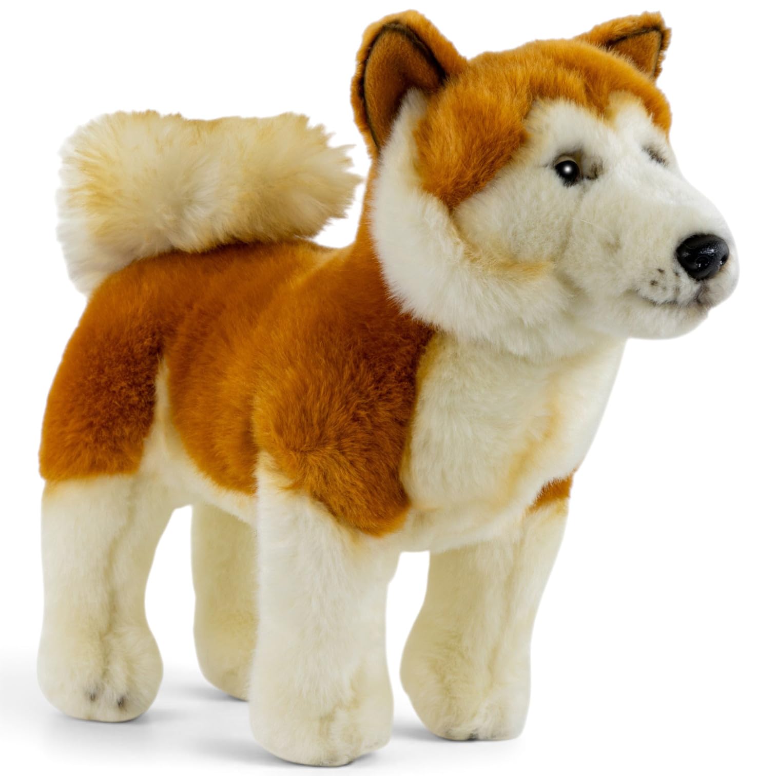 Carl Dick Akita pies ok. 30 cm, pluszowa zabawka, pluszowa zabawka, przytulanka 3636