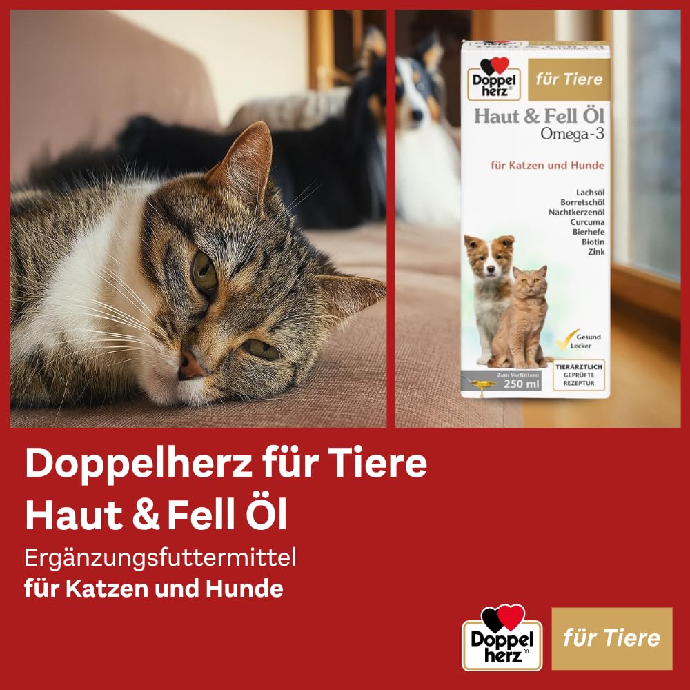 Doppelherz für Tiere Haut und Fell Öl für Katzen und Hunde | Mit essentiellen Omega- 3 und Omega-6 Fettsäuren – 250ml
