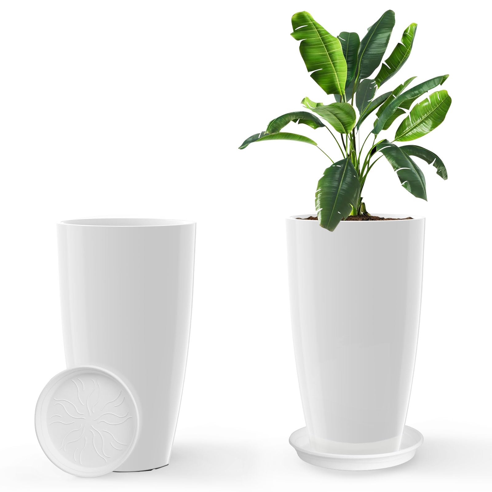 中国盆景の世界 第2巻 花盆 安価 中国盆景の世界 花盆 第2巻 住まい/暮らし/子育て - 住まい