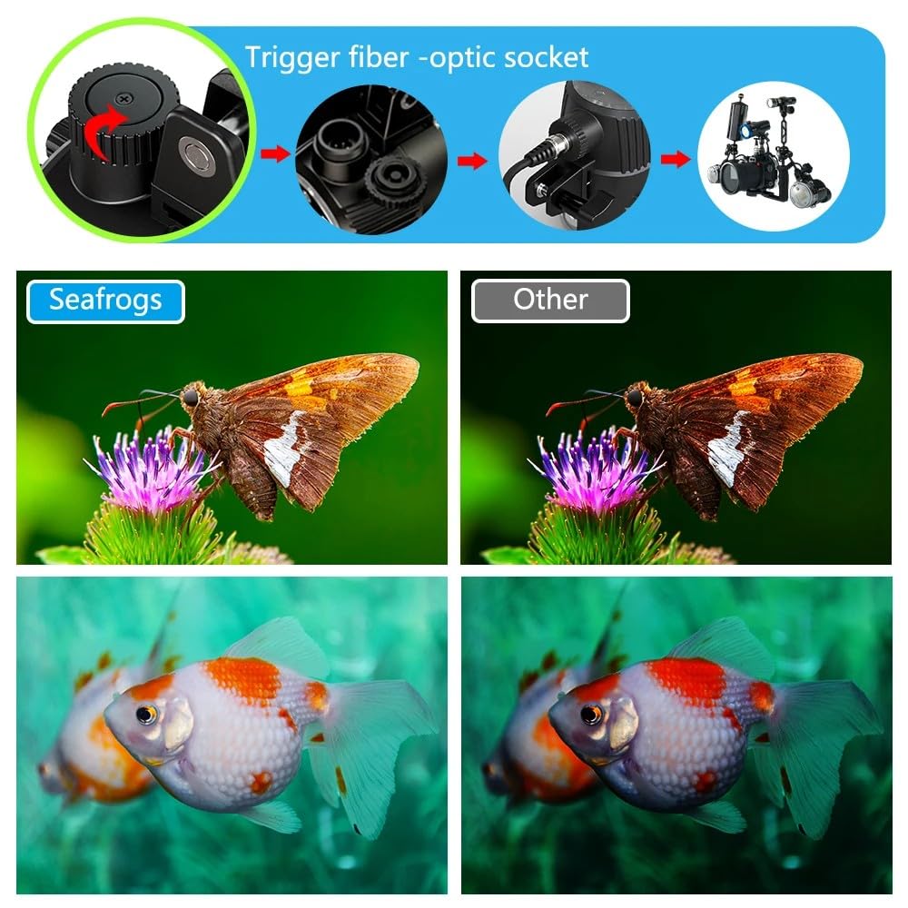 Seafrogs SF-01 Kit stroboscopique d’éclairage sous-Marin. Comprend 2 stroboscopes, 2 Boules flottantes, 6 Barres d’Extension, 1 câble à Fibre Optique, 1 Plateau en Aluminium pour Le boîtier Seafrogs