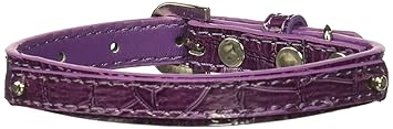 Mirage Pet Products 3/8-Inch Faux Croc 2-Tier Dog Collar, Small, Purple