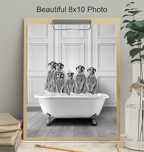 Miniatura 4 de Bathroom Wall Decor - Funny Bathroom Decor - Bathroom Wall Art - Meerkat Bathroom Decorations Pictures - Bath Artwork - Modern Bathroom Accessories