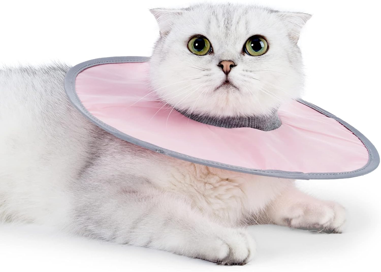 Fejapa Waterproof Cat Recovery Collar Adjustable Pet Cone
