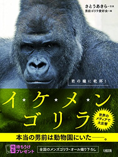 イケメンゴリラ 君の瞳に乾杯!