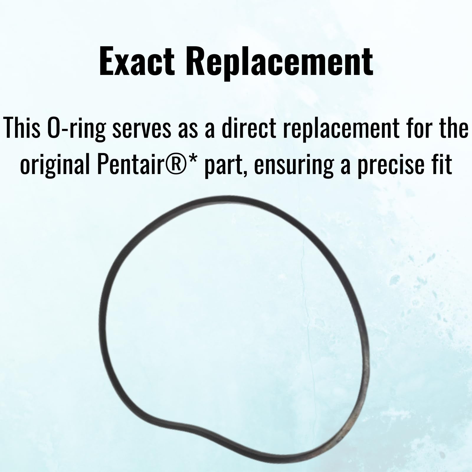 33 ① 355329 - Front Housing O-Ring - Pentair