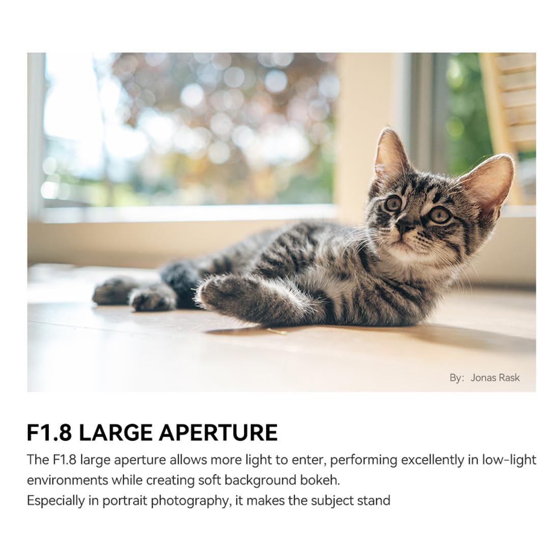 TTArtisan 35 Mm F1.8 II AF Objektiv Für Fuji X-Mount – APS-C, Leichter Autofokus, Naheinstellgrenze 0,4 M, 176 G, Kompatibel Mit X-T Serie