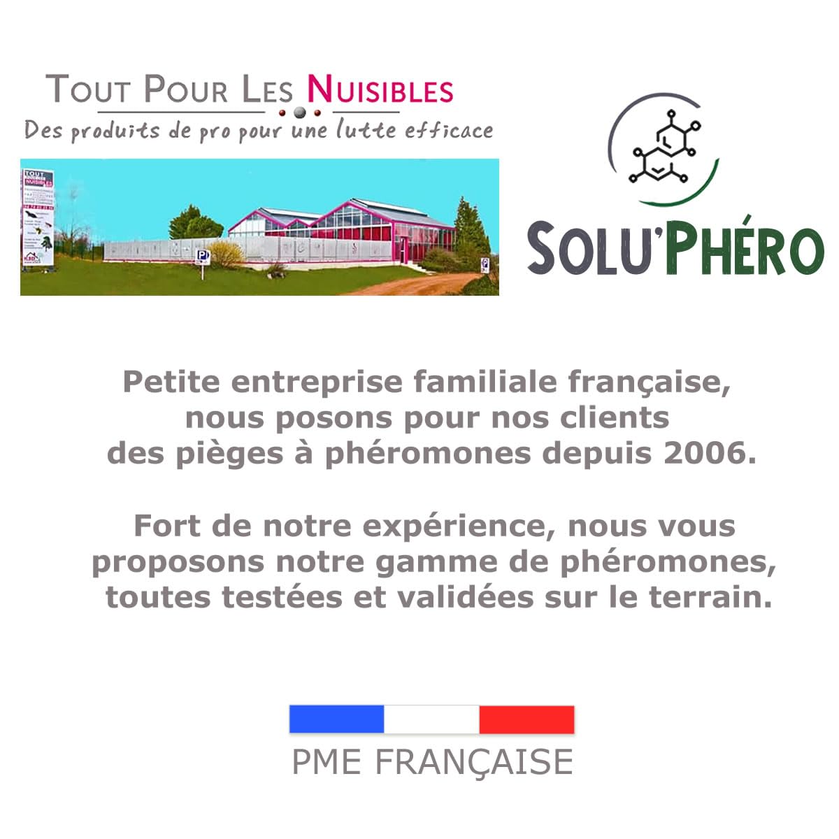SOLUPHERO - Kit Piège Entonnoir Funnel Trap + phéromone Longue durée Contre la Chenille de la processionnaire du pin - Efficace 6 Mois (200 Jours) - Lutte Biologique - A Installer de Juin à Septembre