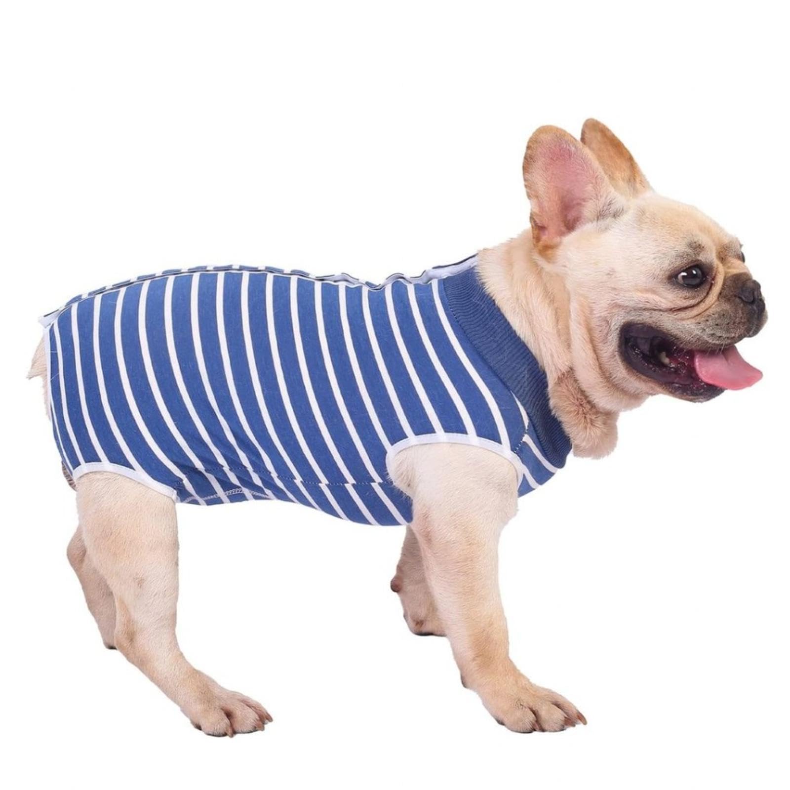 Prevenire la leccatura del cane - Tutina per il leccamento del cane Tutina alternativa per chirurgia addominale per cani femmina - Tuta di recupero per cani di piccola taglia -Vu01,Bluestripe-XXL