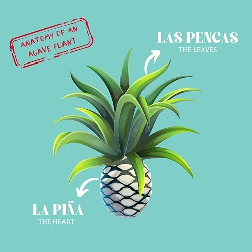 Miniatura 8 de Chantico Edulcorante de agave (agave silvestre, botella de 11.75 onzas), sustituto de azúcar natural orgánico con un sabor alimenticio premium,