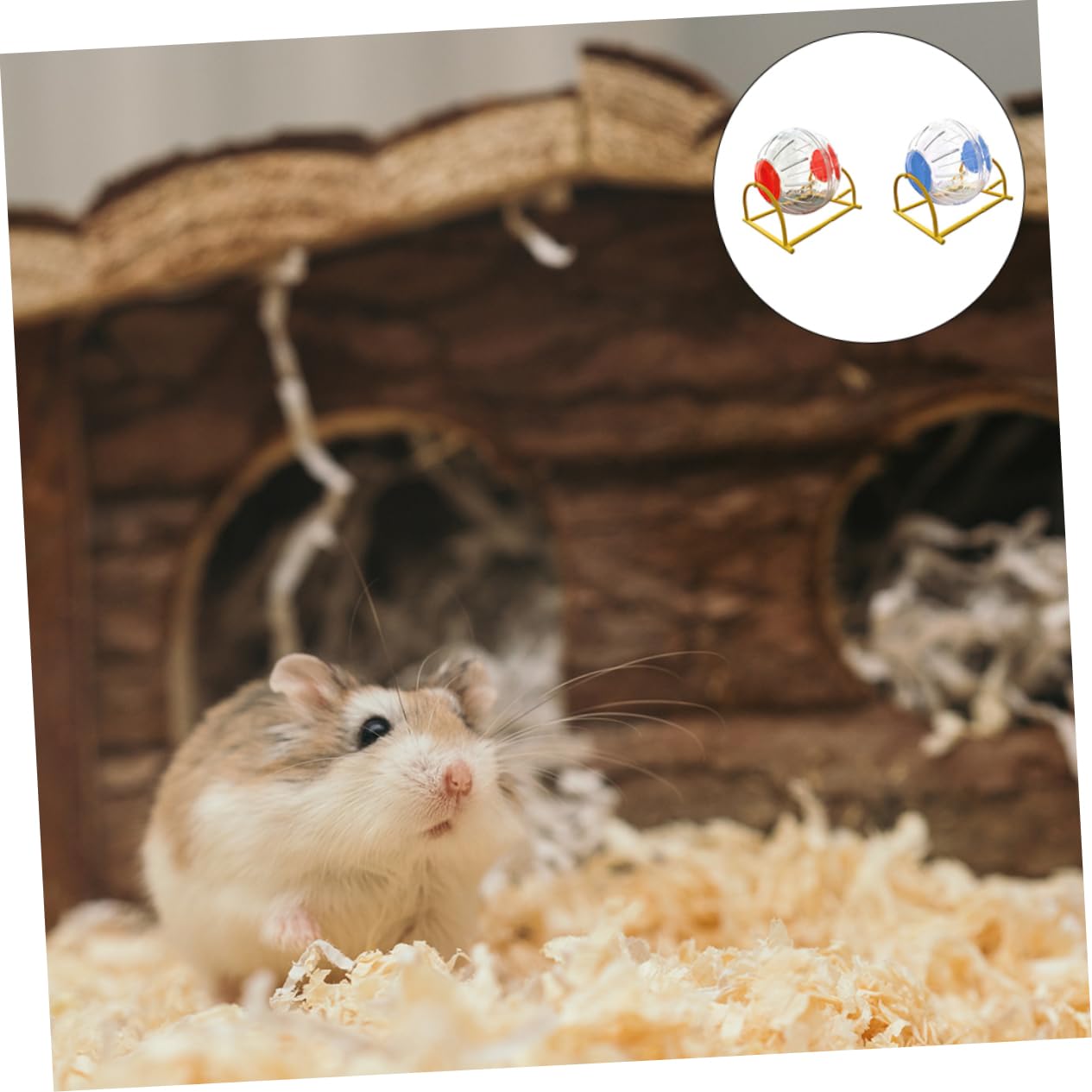 2 Stück Hamster Laufball für Kleintiere und Langlebig für Hamster und Fördert Bewegung und Gesundheit
