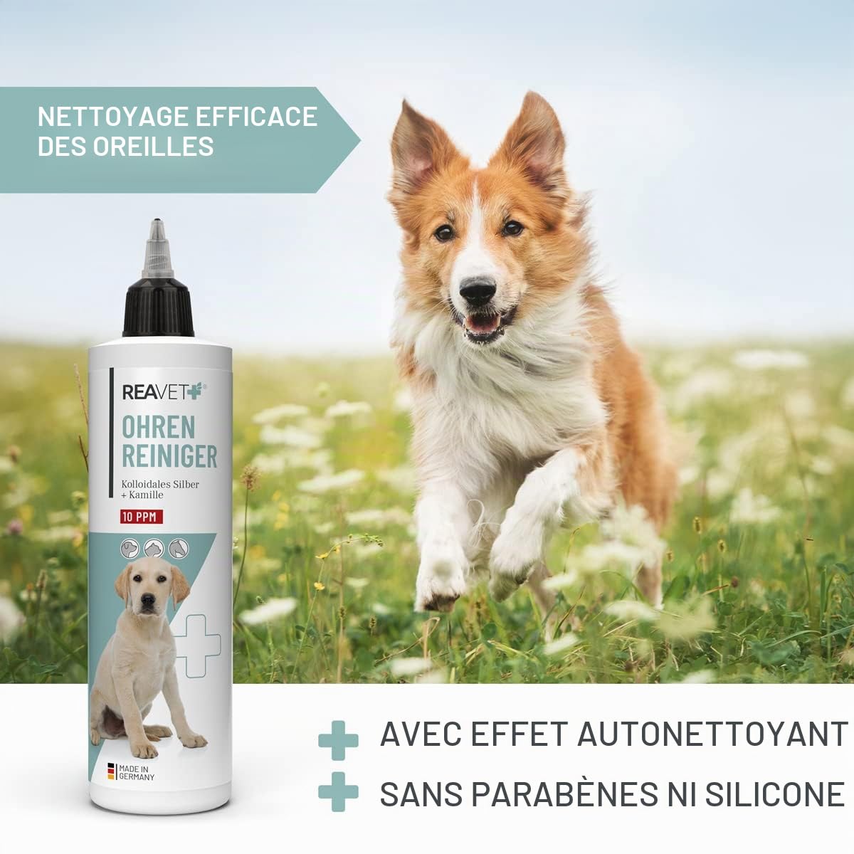 ReaVET Nettoyeur d'oreille pour Chiens et Chats 250 ML – Nettoyeur d'oreille avec Argent colloïdal + Camomille Naturelle I Moyens pour Nettoyer Les Oreilles pour Chien, Chat, Cheval