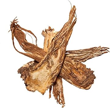 Plum Dragon Angelica Root | Dang GUI, Sliced Whole Root Chinese Herb | Dong Quai | Chinese Angelica | Angelica Sinensis Chinese Herb 1 Lb