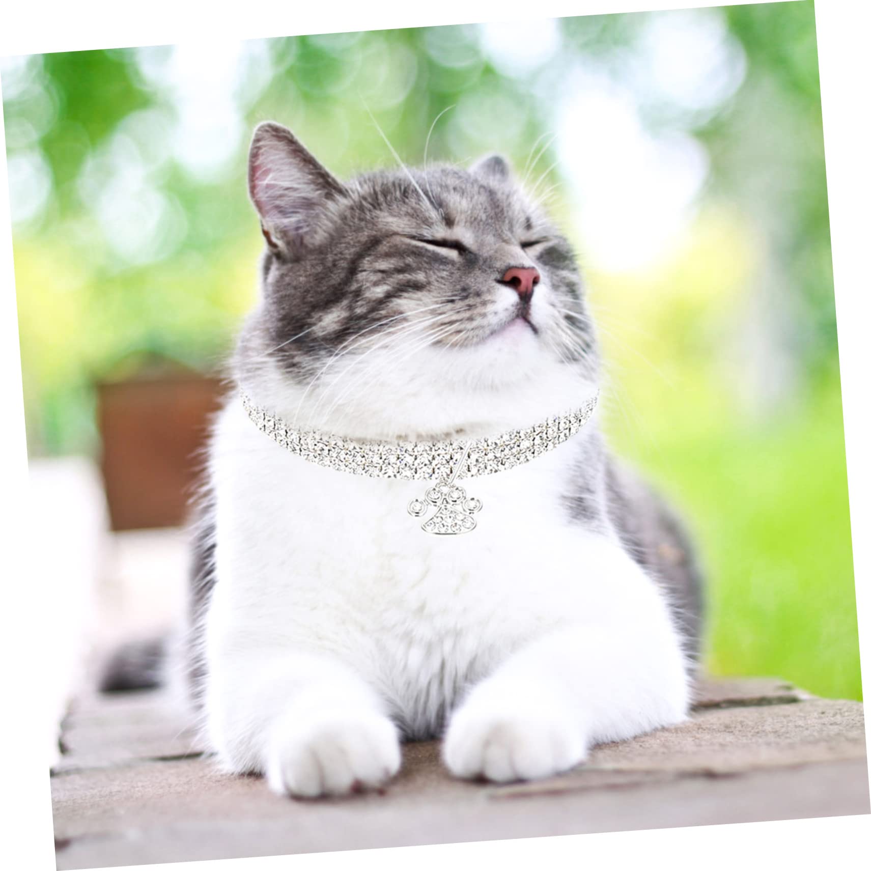 INOOMP 9pezzi Collare Decorativo Per Cani e Gatti Con Strass Da Collana Resistente e Accessori Per Animali Domestici Elegantemente Designati