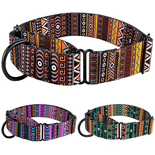CollarDirect Martingale Collars for Dogs Heavy Duty Tribal Pattern Adjustable Soft Safety Training