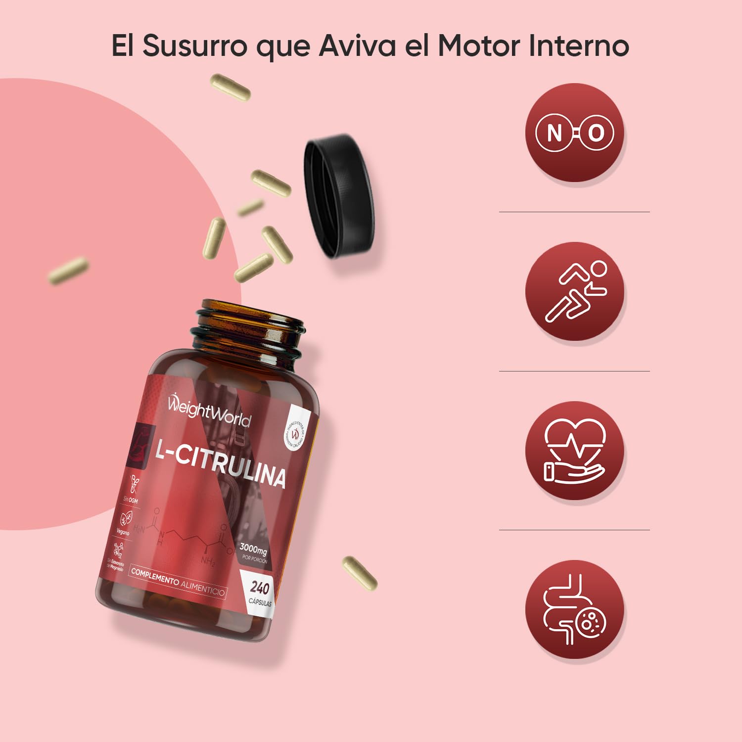 L Citrulina 3000mg, 240 Cápsulas Veganas para 2 Meses - Suplemento Pre y Post Entrenamiento, Fermentación Biotecnológica y Natural, Sin Estearato de Magnesio, Alérgenos ni OGM