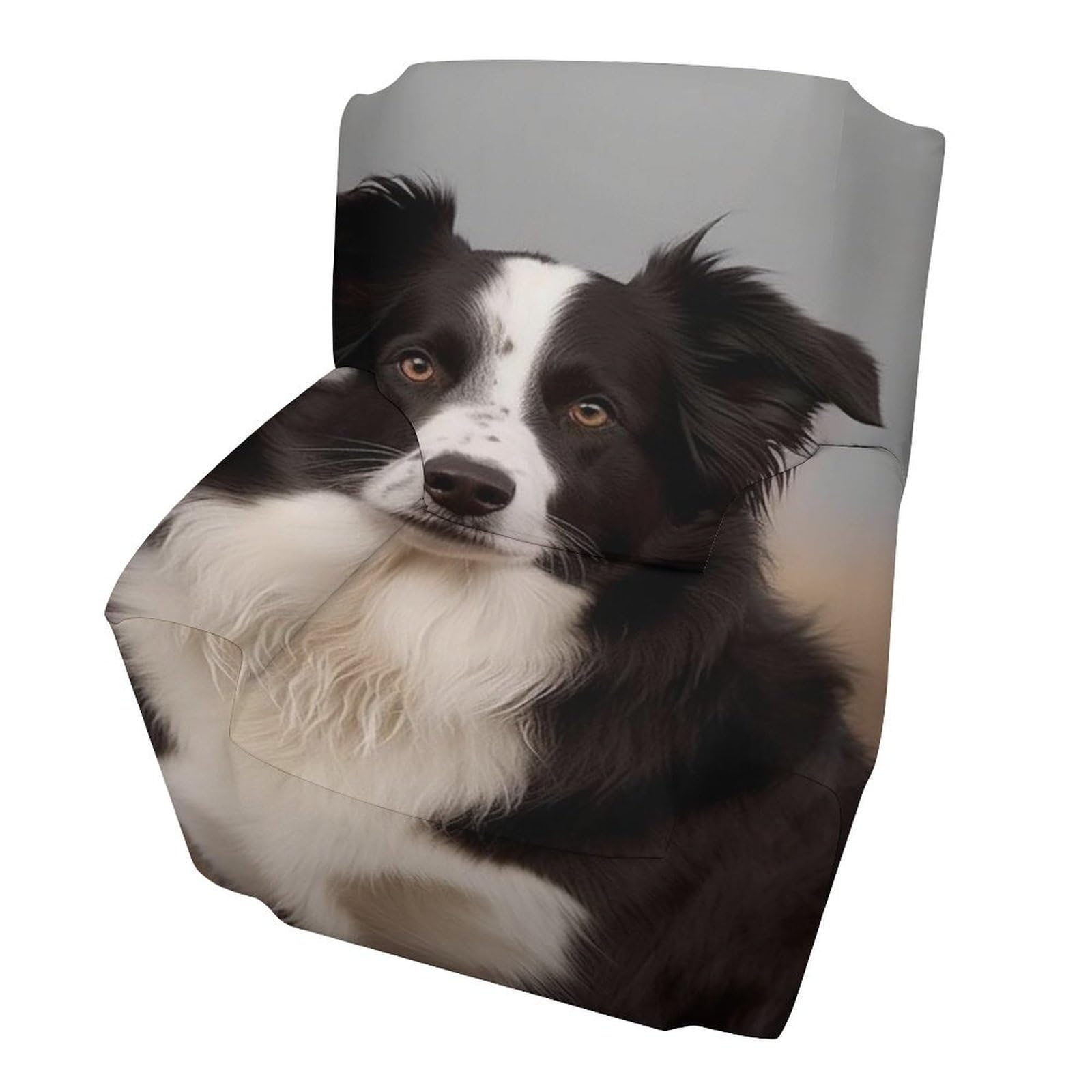 Housse de canapé Border Collie idéale pour protéger des poils de chiens