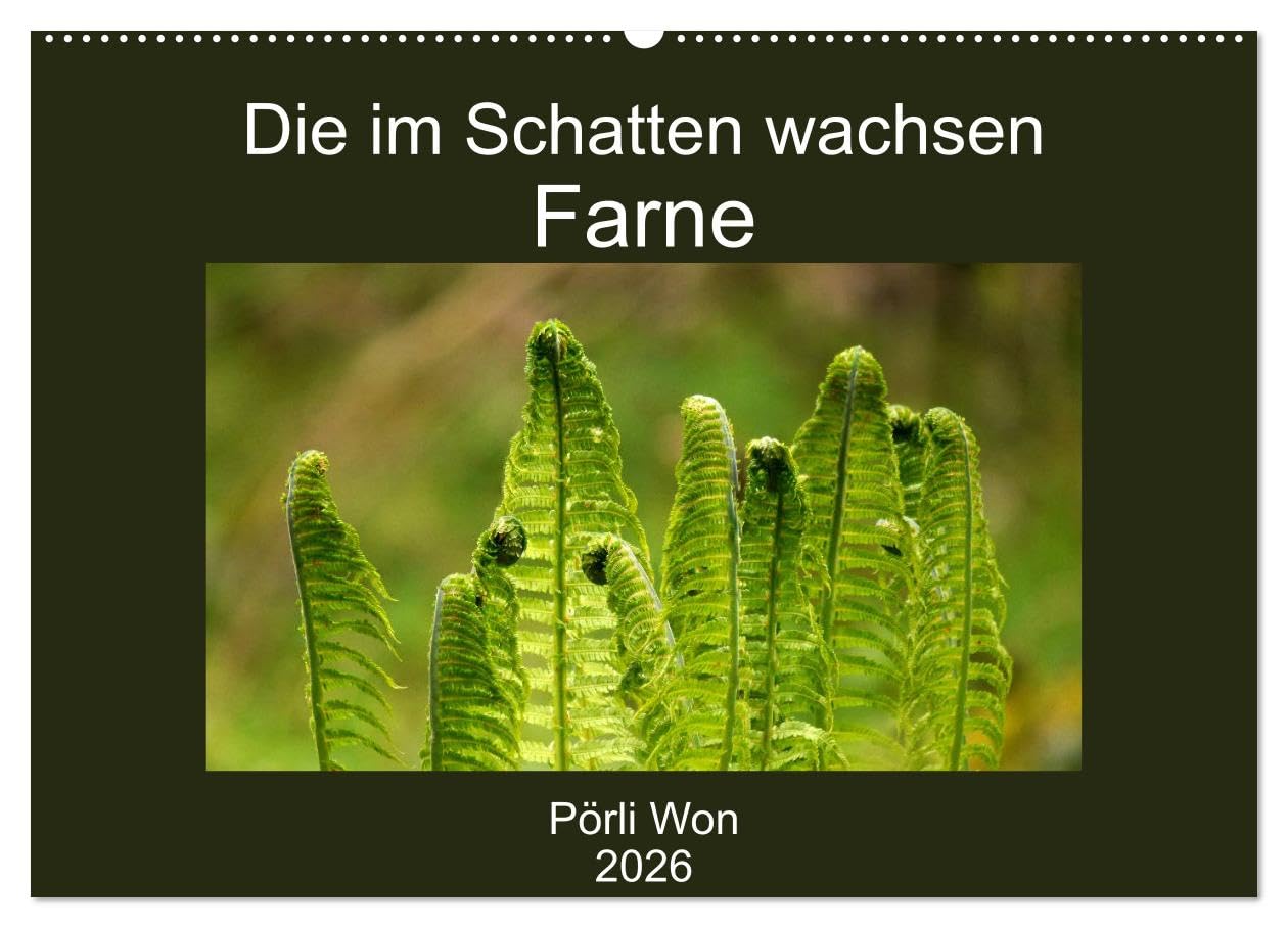 Die im Schatten wachsen - Farne (Wandkalender 2026 DIN A2 quer), CALVENDO Monatskalender: Geheimnisvolle Farnwelt (CALVENDO Natur)