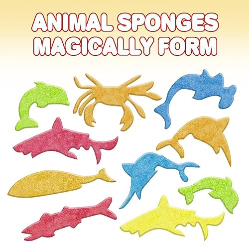 Miniatura 4 de ArtCreativity Cápsulas mágicas de animales marinos en crecimiento, 2 paquetes con 12 cápsulas de animales expandibles cada una, crecen en agua,