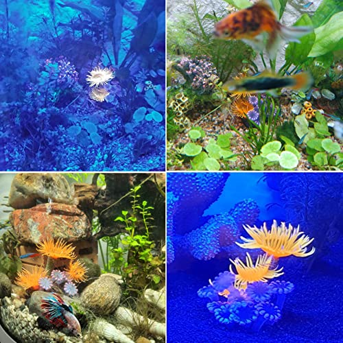 Corail Artificiel, Anémone Lumineuse Silicone pour Décoration Aquarium