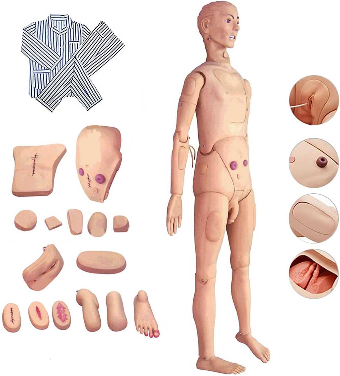SHIXUE 170cm Masculino Maniqui Enfermeria con Vísceras & Genitales Intercambiables, RCP Simulador para Enfermería Médico Formación Enseñando y Educación Médico Suministros