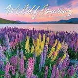Willow Creek Press, Wildflowers 2026 Wall Calendar, 12'' X 12'', 18-Month Calendar with Stapled Binding