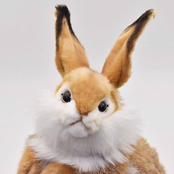 うさぎ ウサギ 30 | HANSA