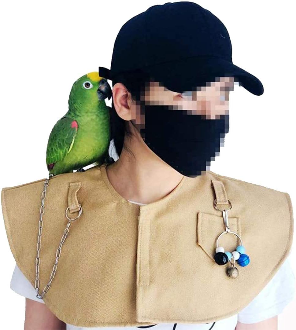 Diaperpoop Diaperpoop