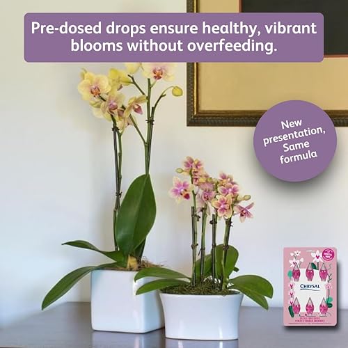 Miniatura 3 de Chrysal Gotas de alimento para orquídeas, cuidado de orquídeas, suministro de un paquete por año, alimento concentrado para flores para todas las