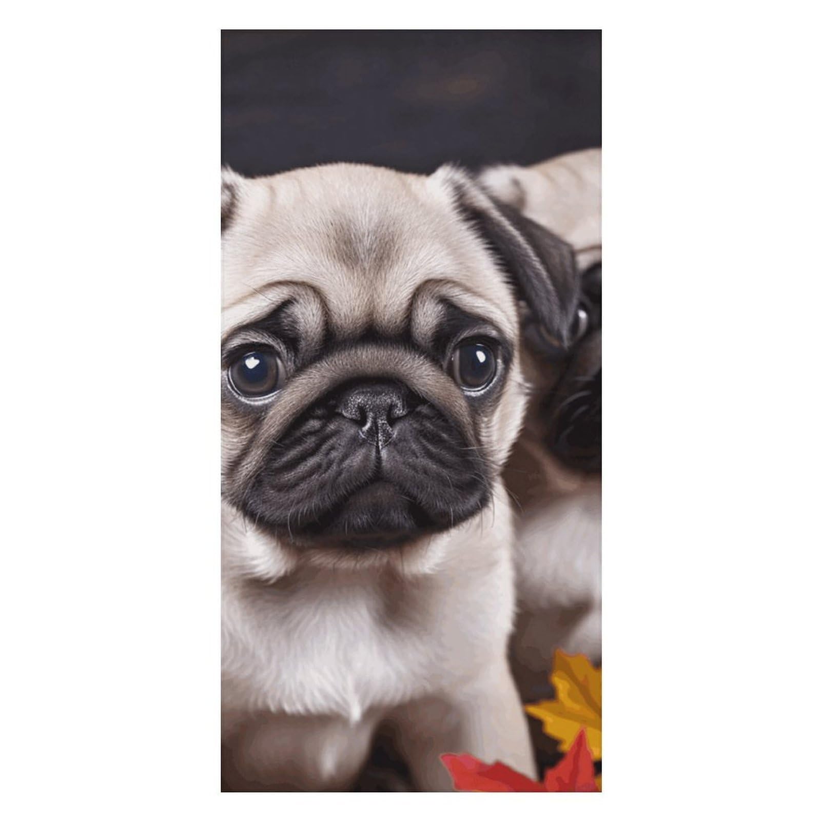 QMKFWT Puppys Pug Beach Towels Extra Large, Quick Dry Absorbent Multipurpose, Oversized Beach Towel, Sand Free Foldable Lightweight, Travel Towel, for Beach Pool Camping Travel Vacation, 63x31.5 in