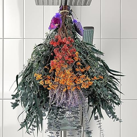 Pasuvsigt Dried Eucalyptus Stems Cover